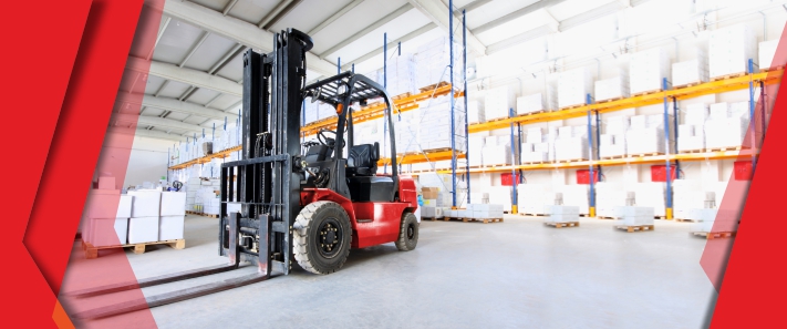 LINEA AUTOELEVADORES ELECTRICOS